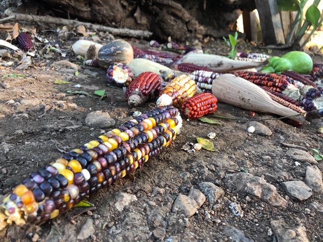 foto: Aurelio Suárez